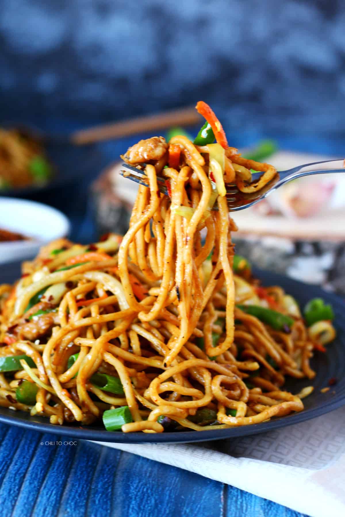 Chicken Hakka Noodles - Sinfully Spicy