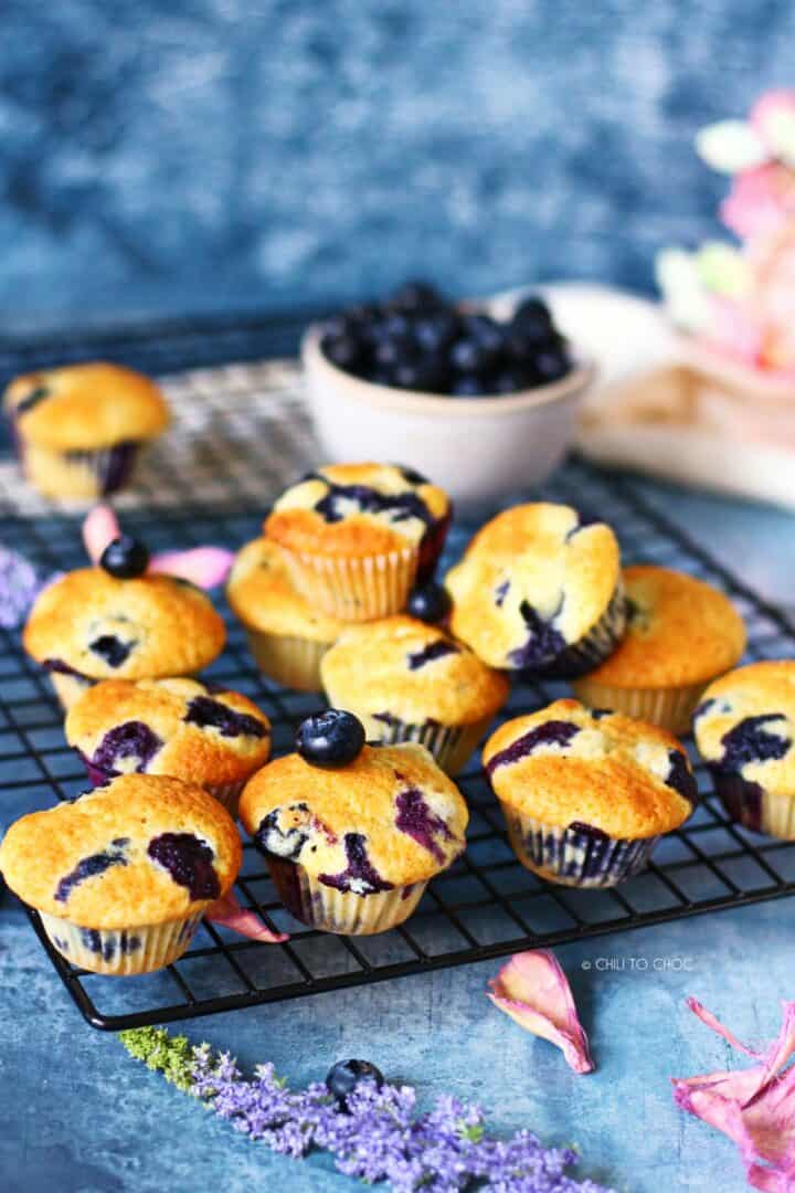 Quick And Easy Mini Blueberry Muffins Chili to Choc