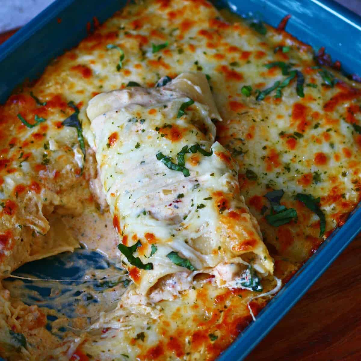 Alfredo Lasagna Roll Ups - Chili to Choc