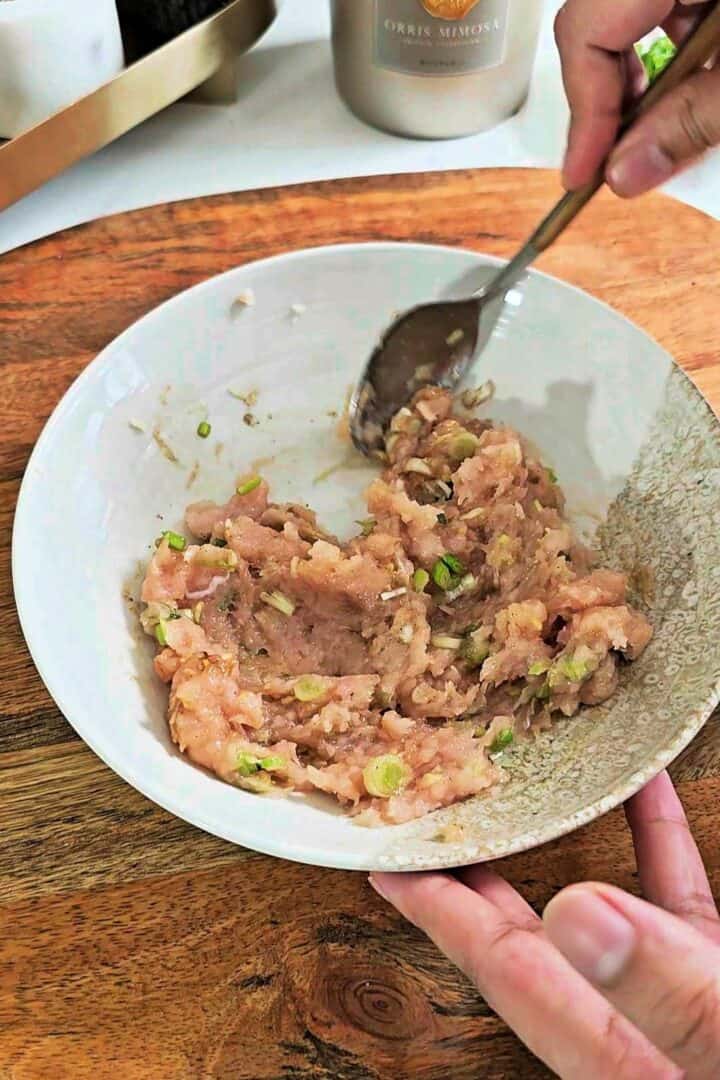 Ground chicken filling mixed with scallions, garlic, and seasonings in a bowl.